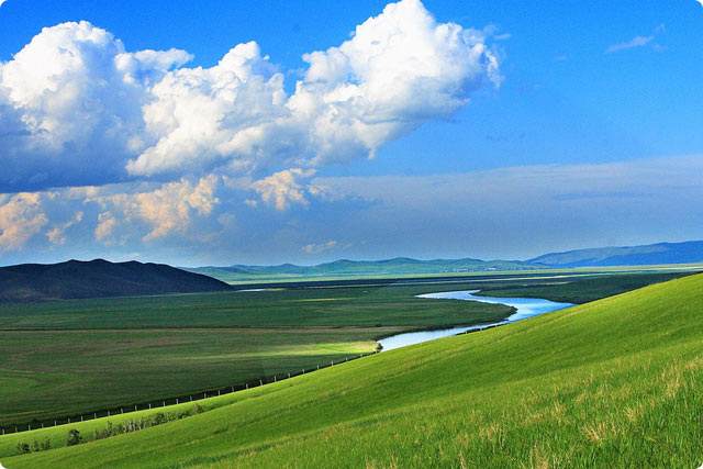 呼倫貝爾新店開業(yè)