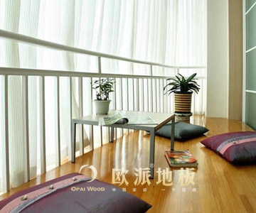 強(qiáng)化地板品牌