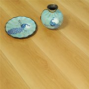 OP-KS3101 陽光海岸強化地板